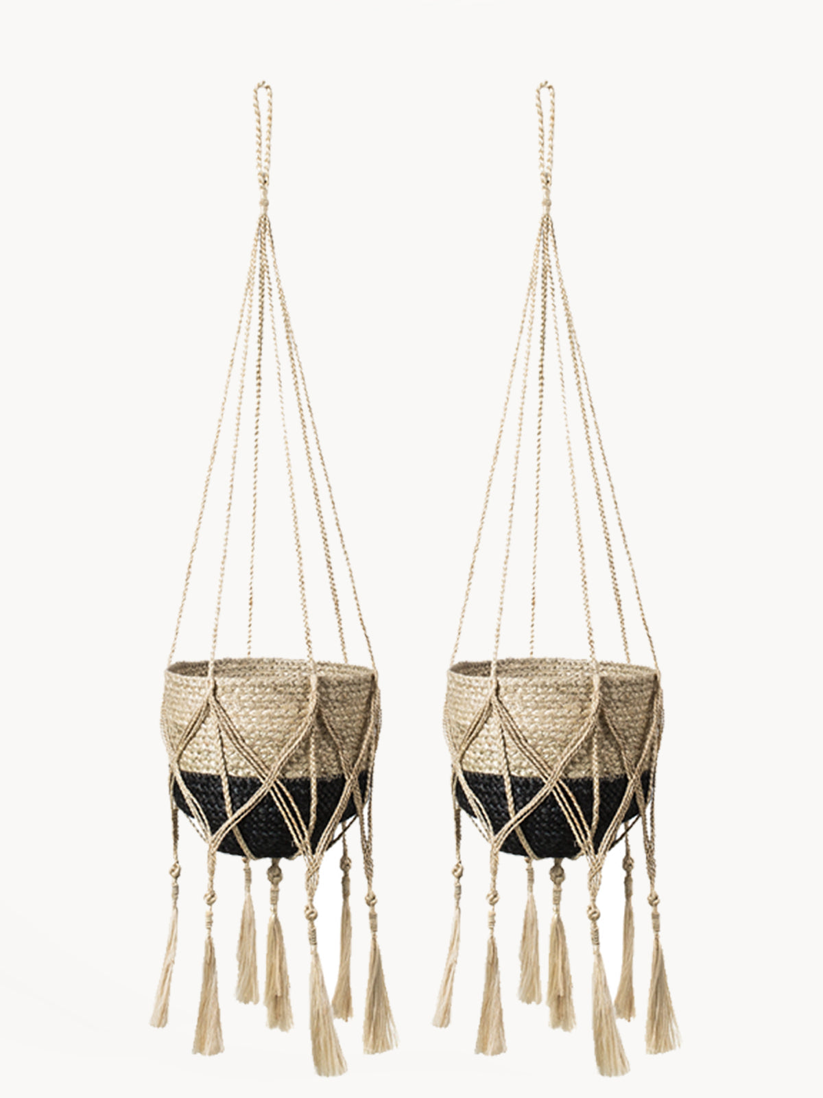 Two bitan plant hangers Image