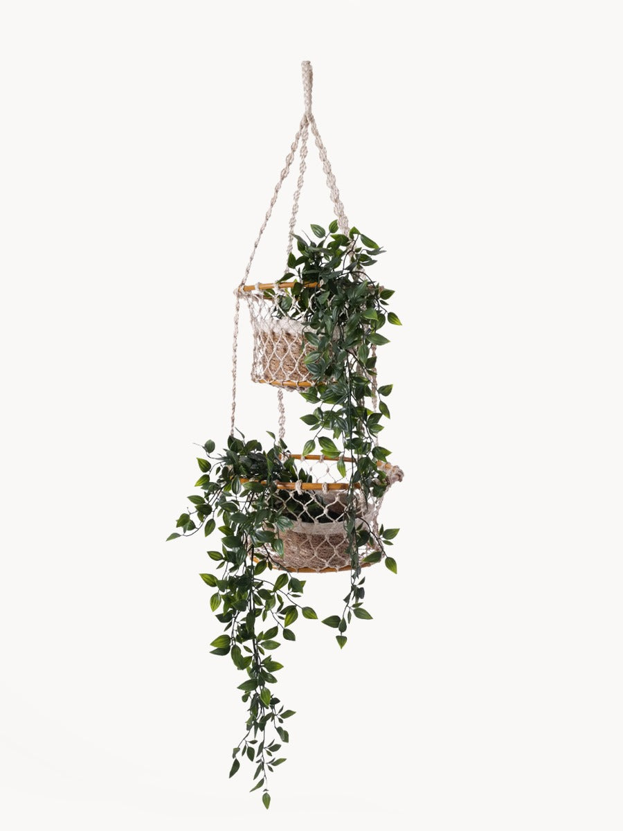 Jhuri Double Hanging Basket with Plants