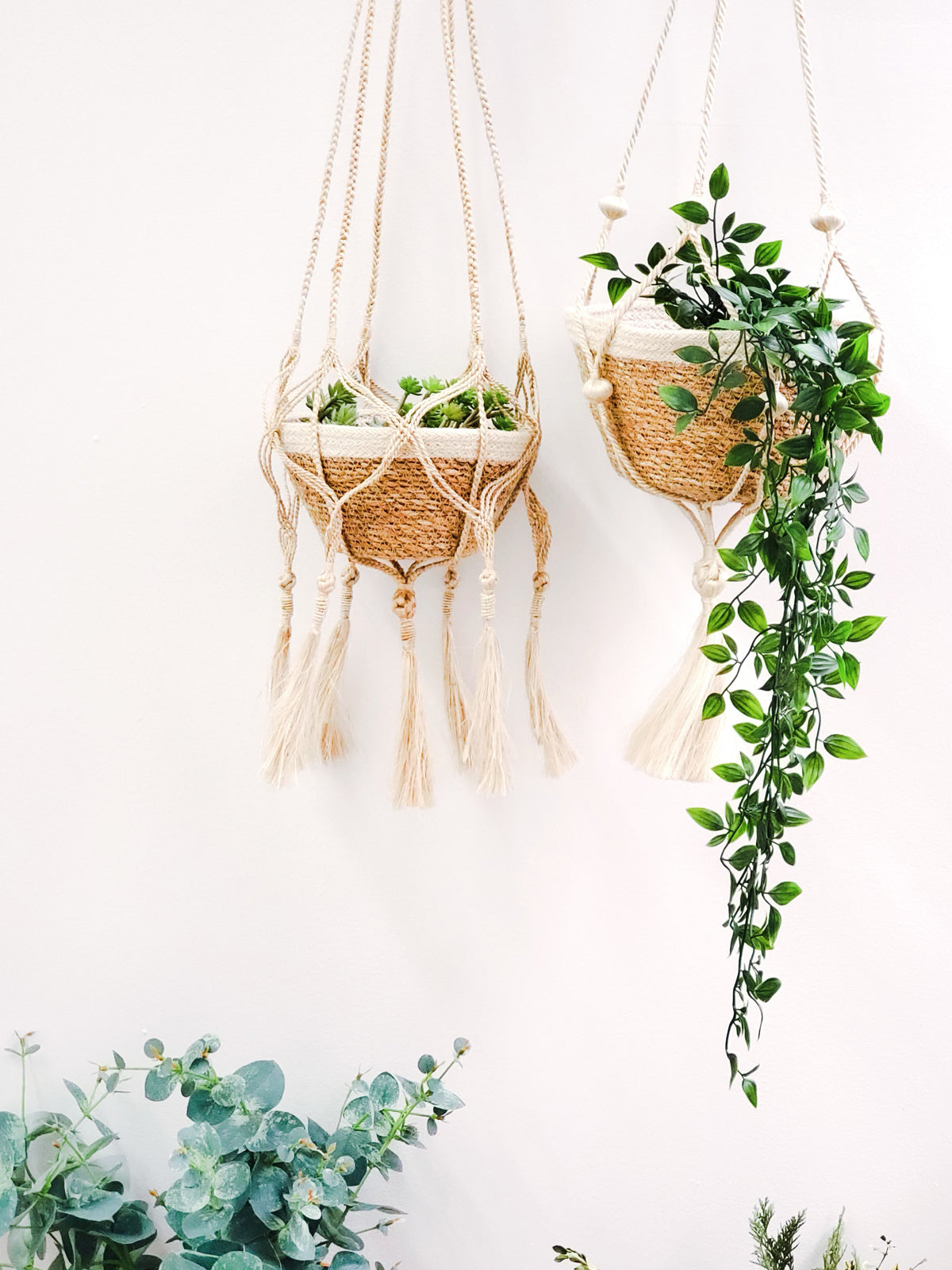 Two bitan plant hangers with plants 
