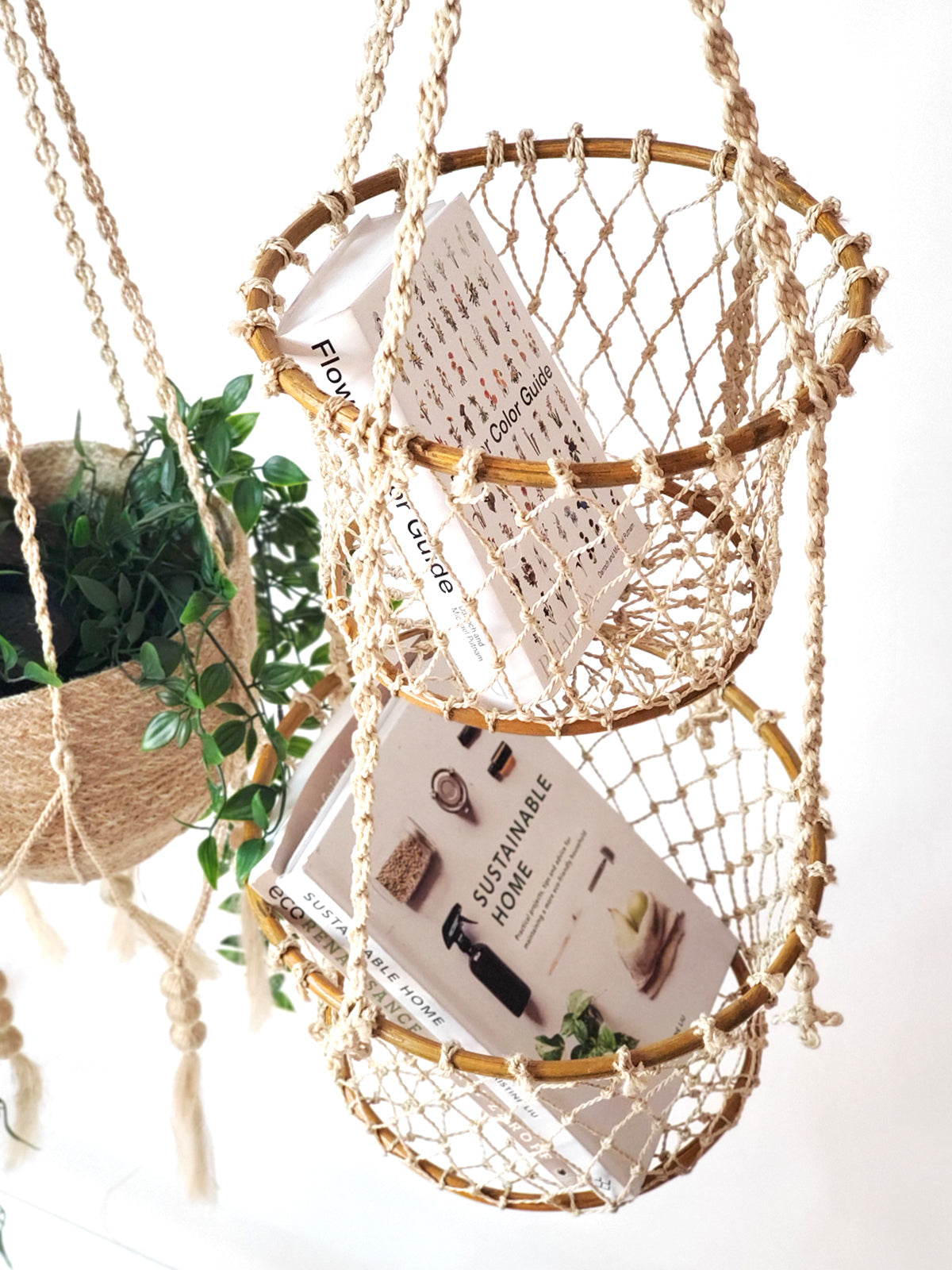 Jhuri double hanging basket with books and a plant top angel view