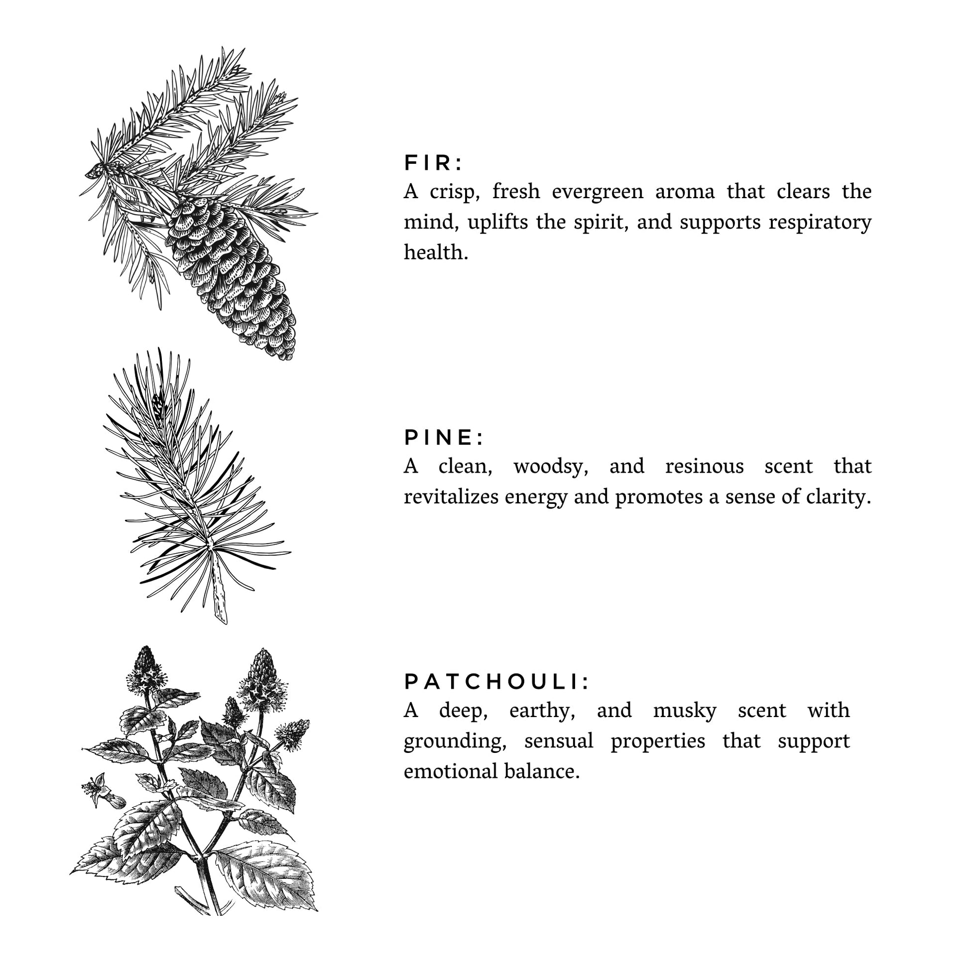 Forest scents