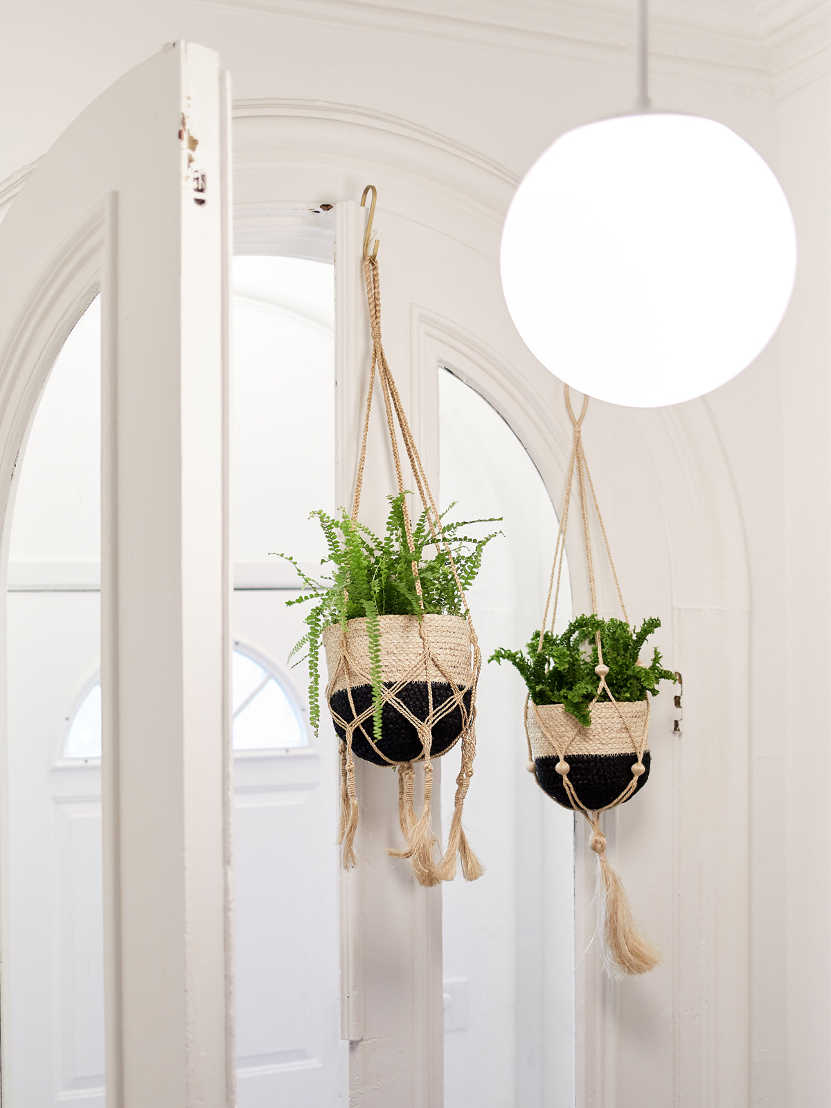 Two hanging planters with green plants