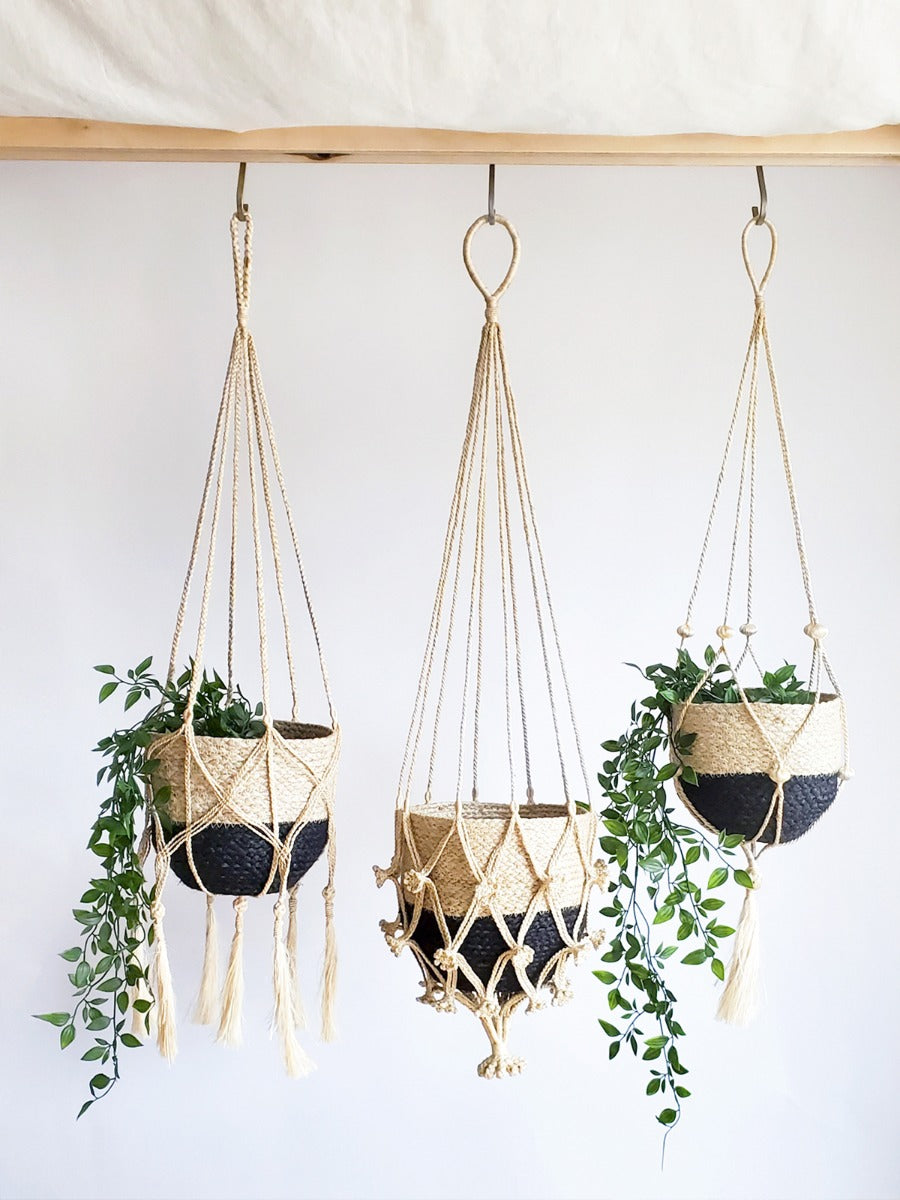 Three Plant Hanger